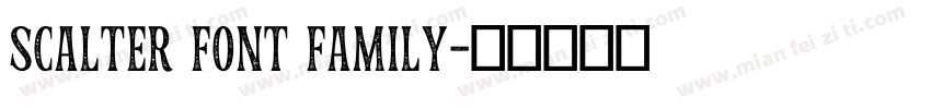 Scalter Font Family字体转换